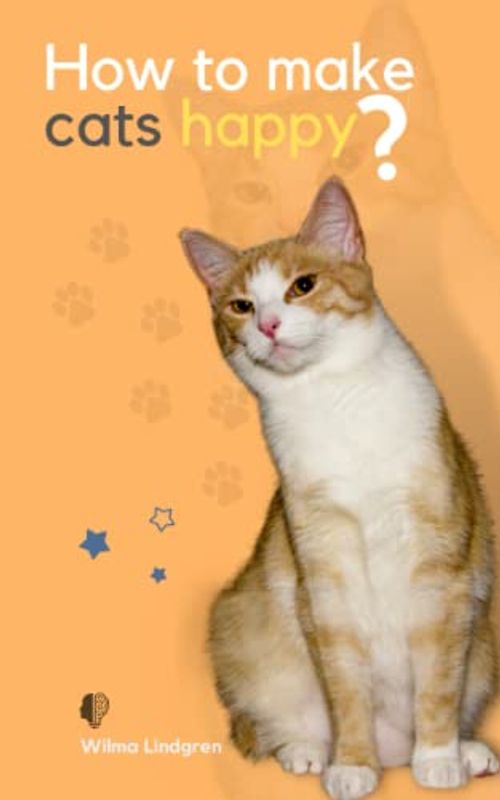 How To Make Cats Happy?