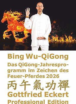 Bing Wu-QiGong