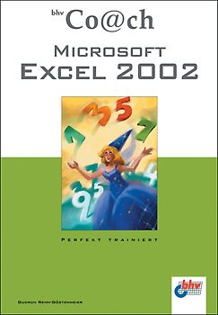 Microsoft Excel 2002
