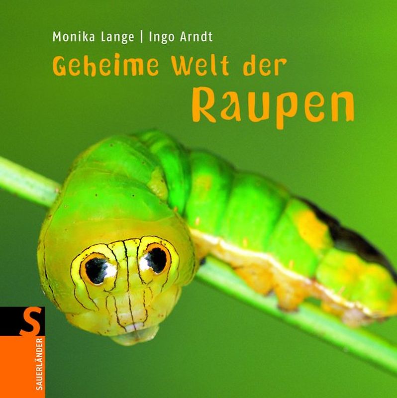 Geheime Welt der Raupen