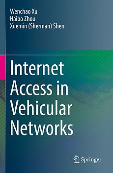 Internet Access in Vehicular Networks