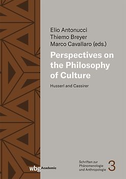 Perspectives on the Philosophy of Culture