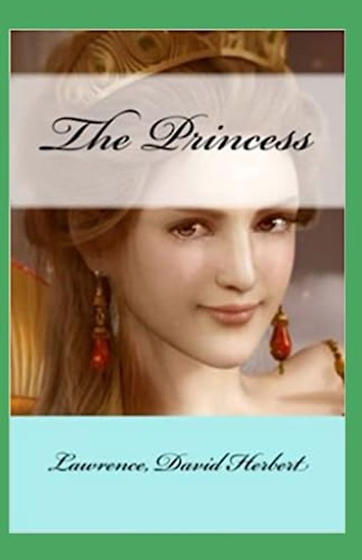 The Princess Illustrated