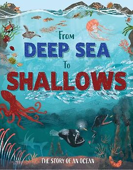 From Deep Sea to Shallows: The Story of Oceans