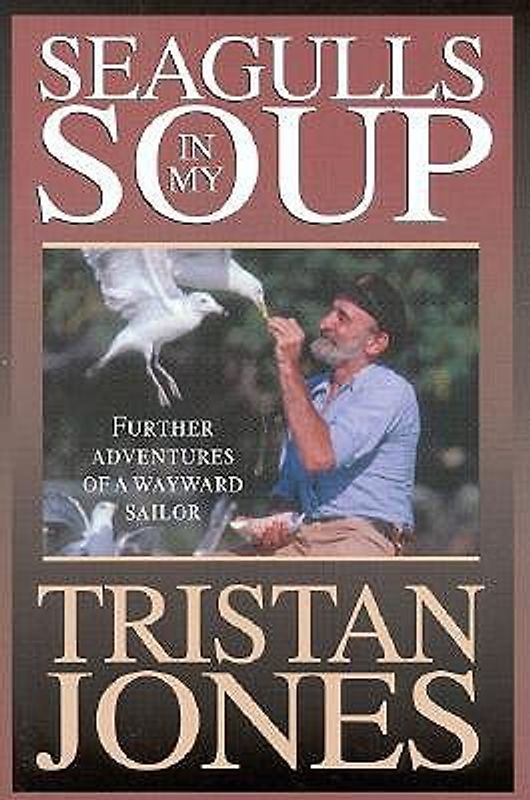 Seagulls in My Soup