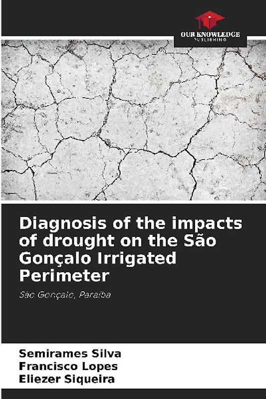Diagnosis of the impacts of drought on the São Gonçalo Irrigated Perimeter