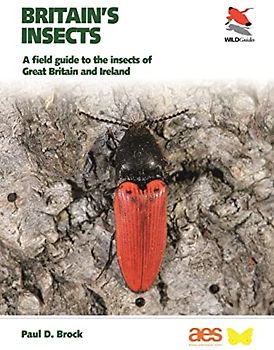 Britain's Insects: A Field Guide to the Insects of Great Britain and Ireland (Wildguides Britain's Wildlife)