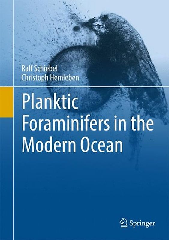 Planktic Foraminifers in the Modern Ocean