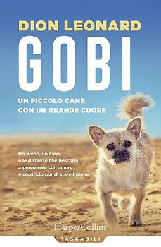 Gobi. Un piccolo cane con un grande cuore