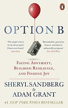 Option B: Facing Adversity, Building Resilience, and Finding Joy