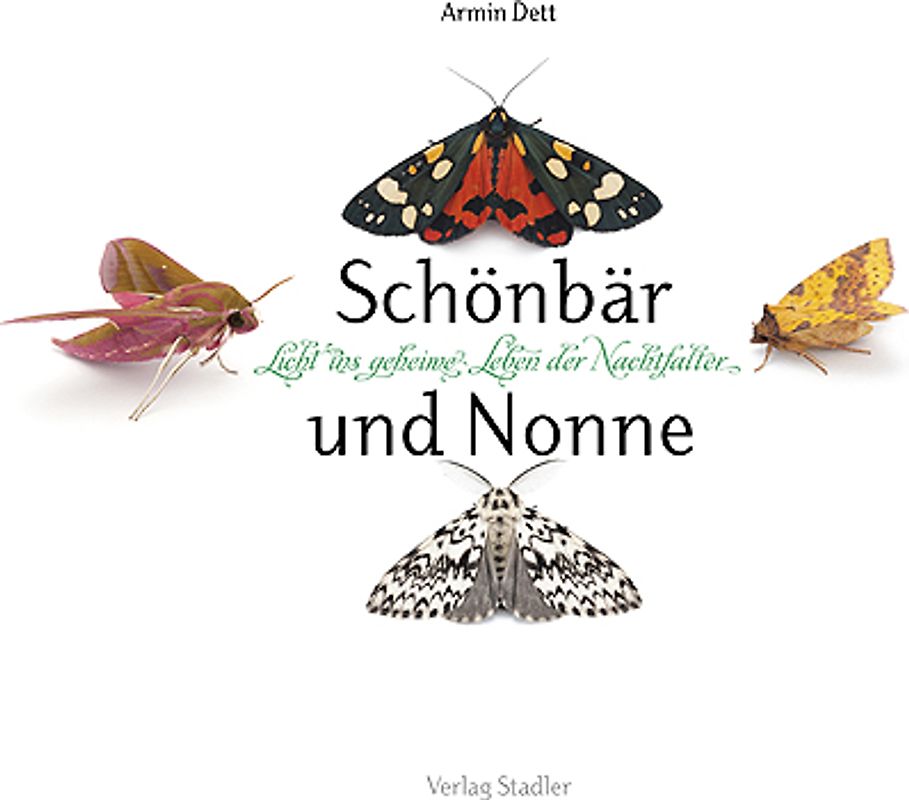 Schönbär und Nonne