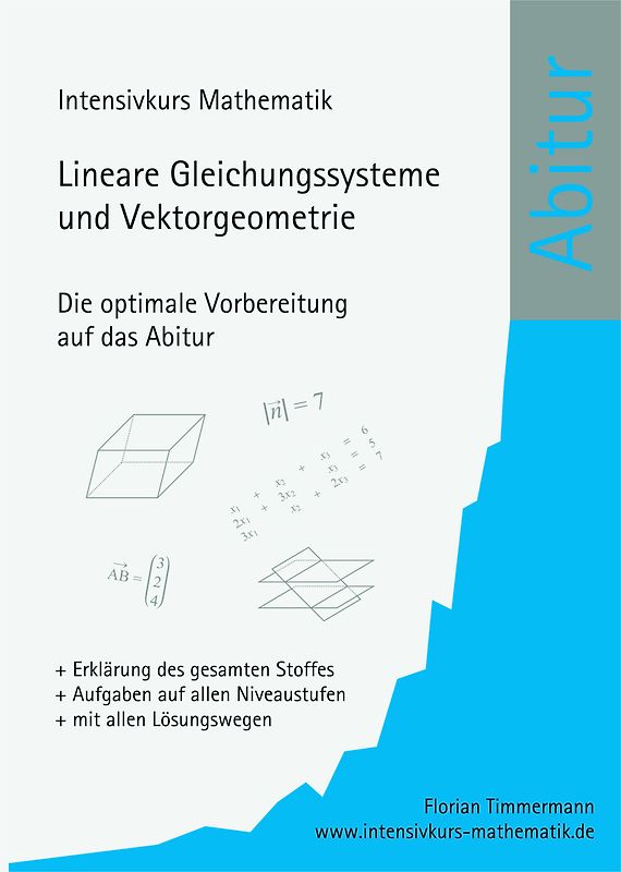 Intensivkurs Mathematik - Lineare Gleichungssysteme und Vektorgeometrie