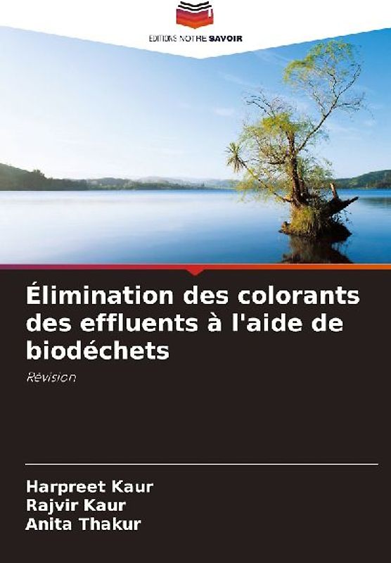 Élimination des colorants des effluents à l'aide de biodéchets