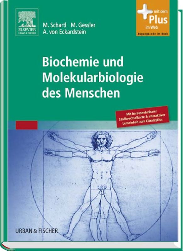 Biochemie und Molekularbiologie des Menschen