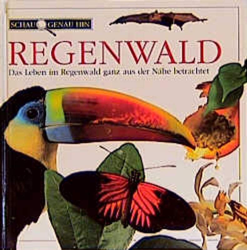 Schau genau hin / Regenwald