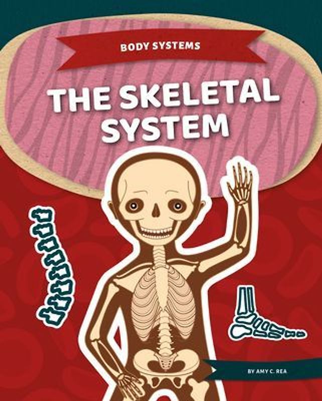 Skeletal System