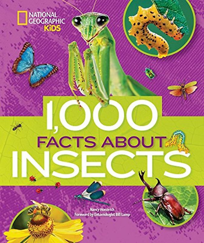 1,000 Facts About Insects (100 Facts About…)
