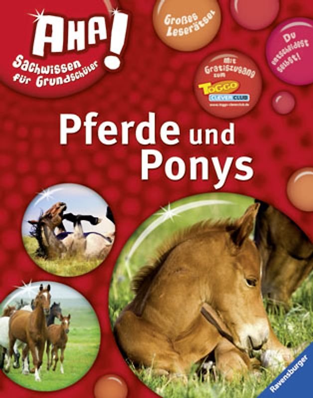 Pferde und Ponys