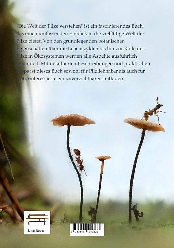 Kritik der deutschen Wendeköpfe. Frontberichte vom publizistischen Feldzug zur Herbeiführung des Endsiegs über die zersetzende Gesellschaftskritik