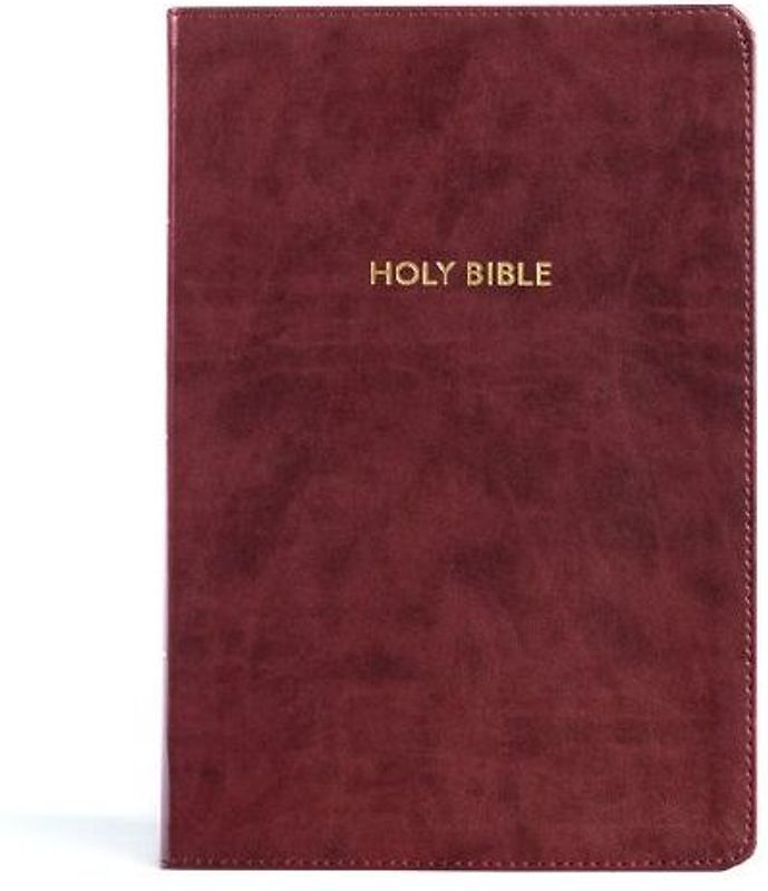 KJV Rainbow Study Bible, Burgundy Leathertouch