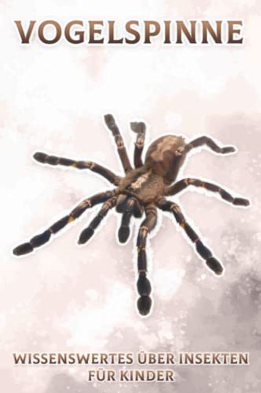 Vogelspinne: Wissenswertes über Insekten für Kinder #7
