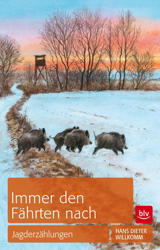 Immer den Fährten nach