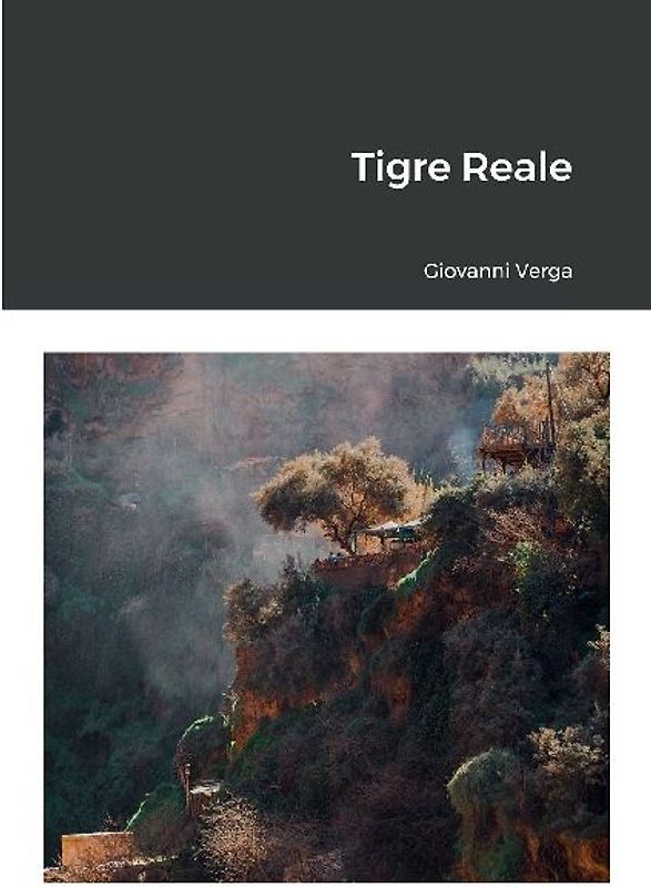 Tigre Reale