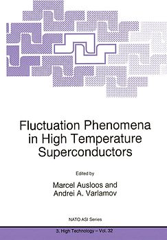 Fluctuation Phenomena in High Temperature Superconductors