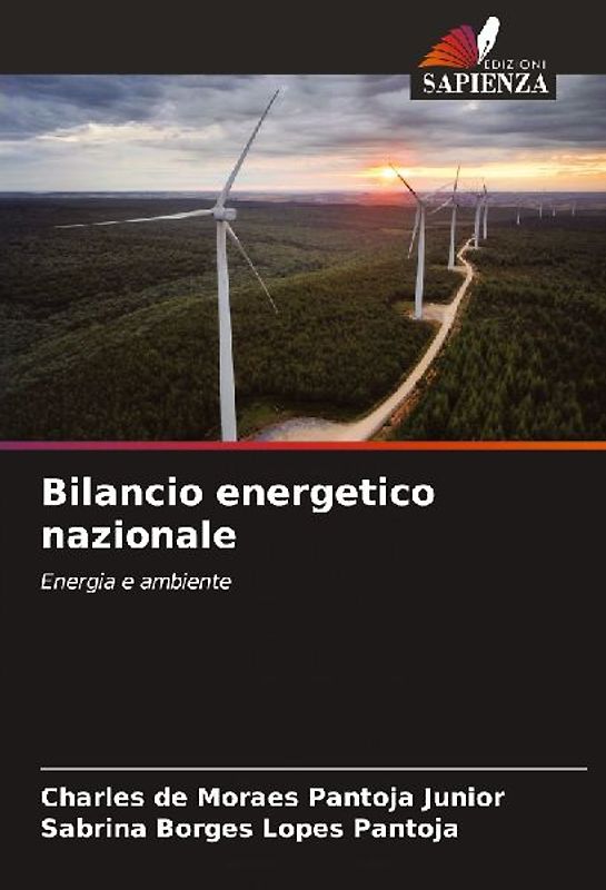Bilancio energetico nazionale