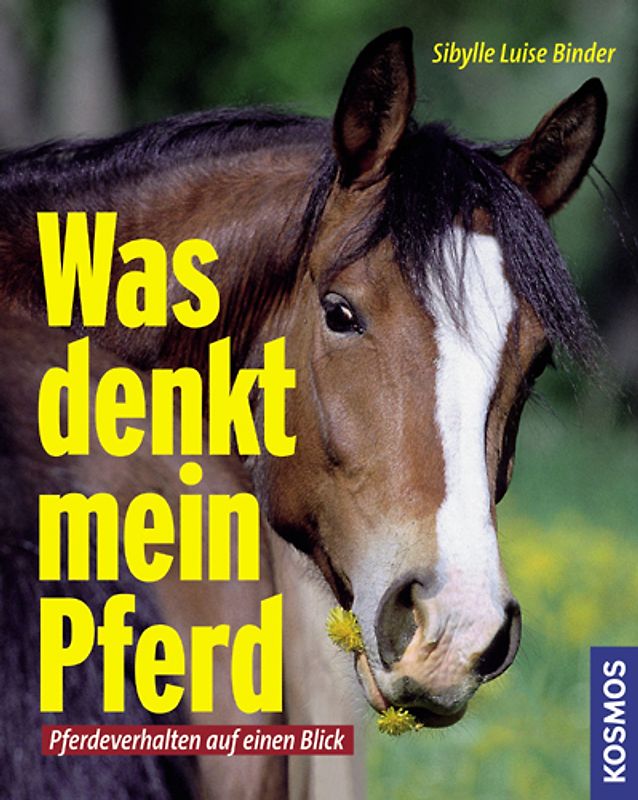 Was denkt mein Pferd. Pferdeverhalten auf einen Blick