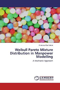 Weibull Pareto Mixture Distribution in Manpower Modelling