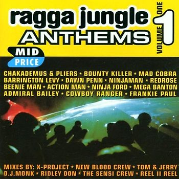 Various - Ragga Jungle Anthems Vol. 1