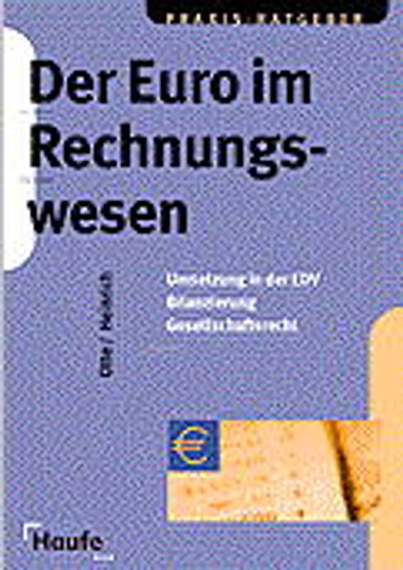 Der Euro im Rechnungswesen. EDV - Bilanzierung - Gesellschaftsrecht