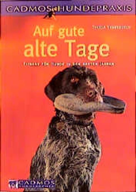 Auf gute alte Tage. Fitness für Hunde in den besten Jahren