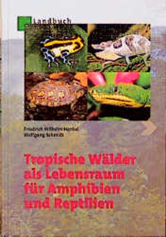 Tropische Wälder als Lebensraum für Reptilien und Amphibien