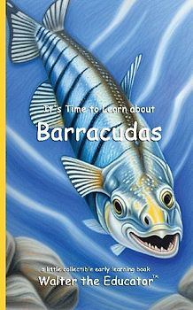 It's Time to Learn about Barracudas