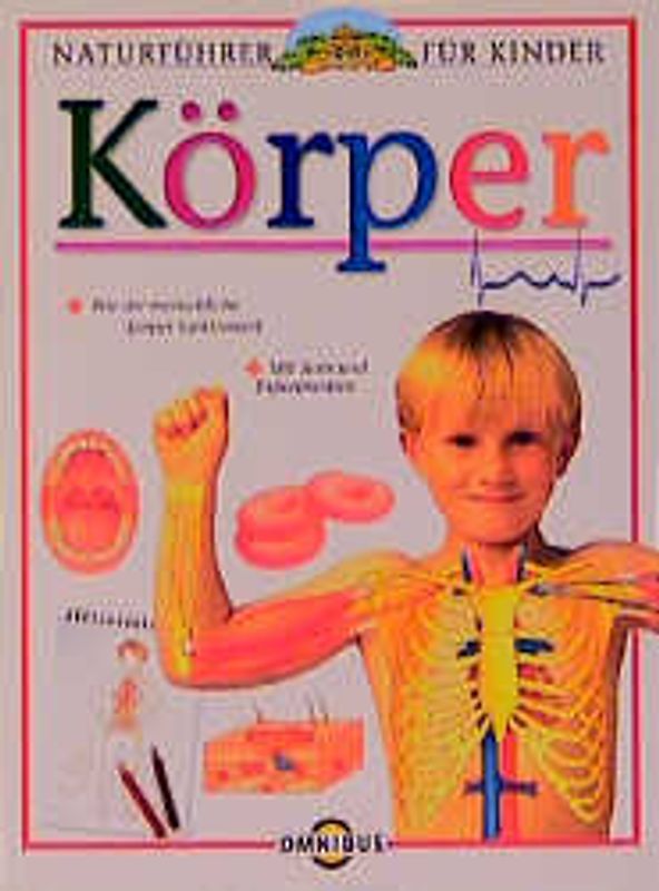 Körper