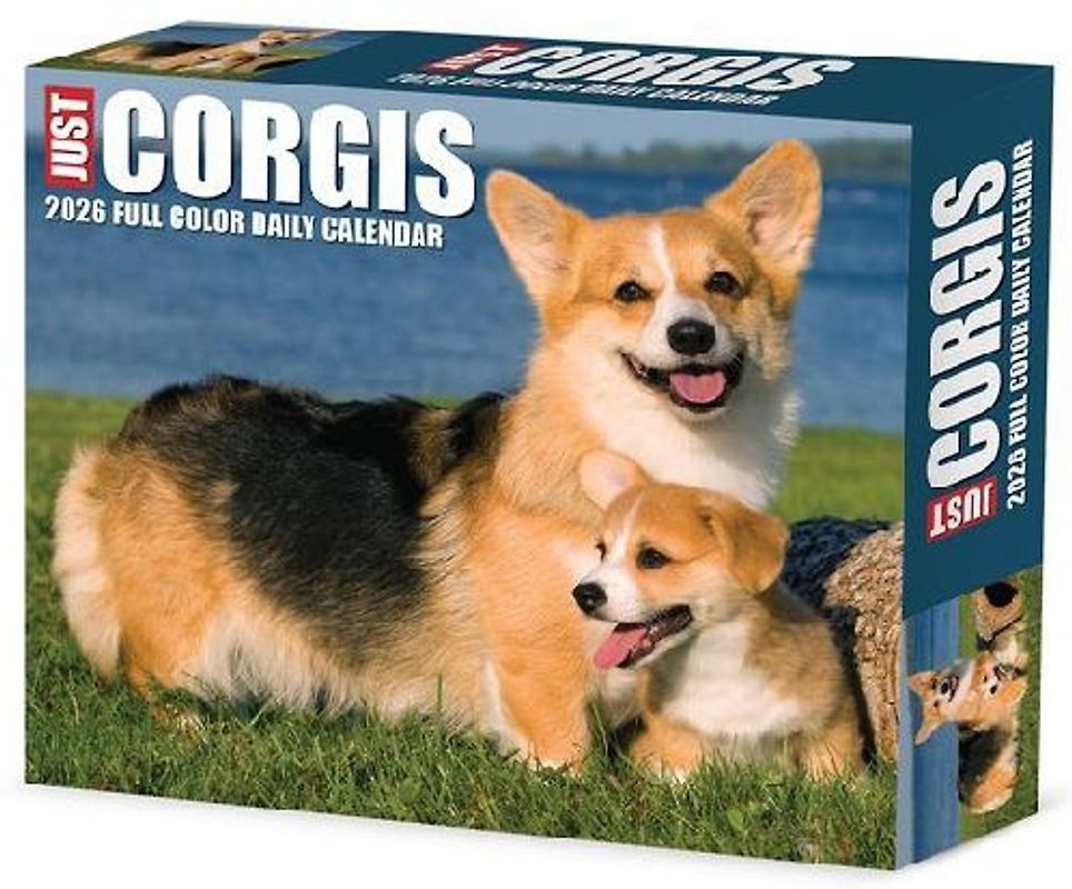 Corgis 2026 5.4 X 6.2 Box Calendar