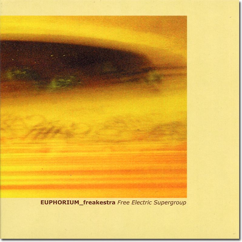 Free Electric Supergroup