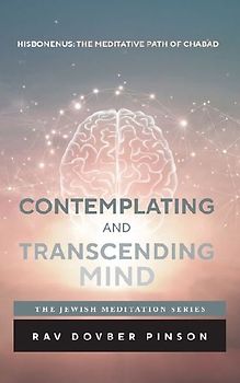 Contemplating and Transcending Mind