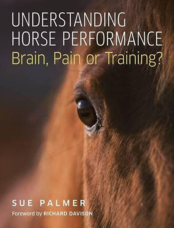 Understanding Horse Performance: Brain, Pain or Training?