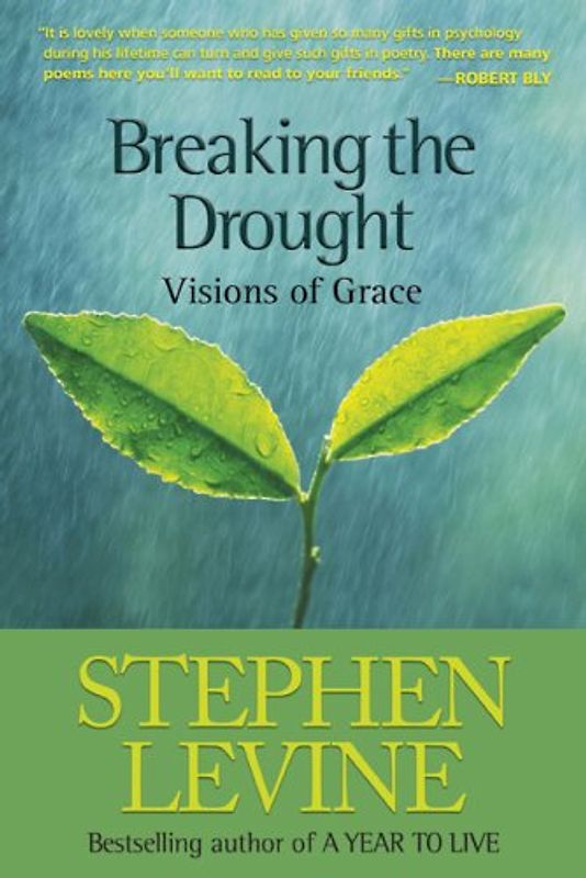 Breaking the Drought: Visions of Grace - Levine Stephen