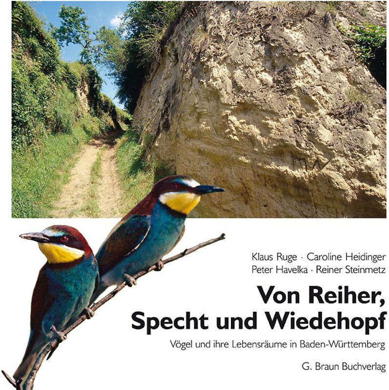 Von Reiher, Specht und Wiedehopf