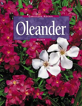 Oleander