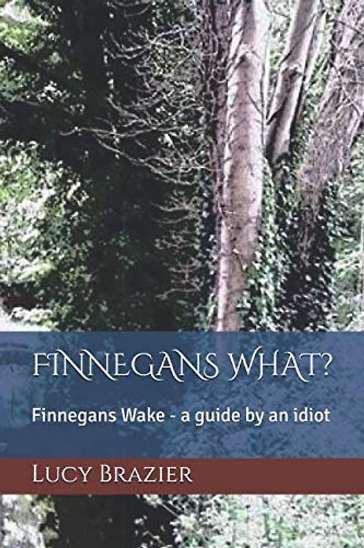 Finnegans What?: Finnegans Wake - A guide by an idiot