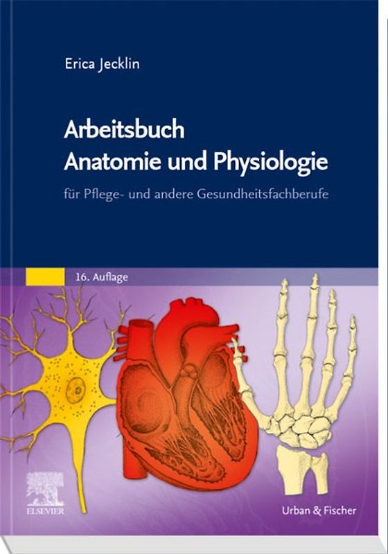 Arbeitsbuch Anatomie und Physiologie eBook