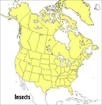 A Peterson Field Guide to Insects