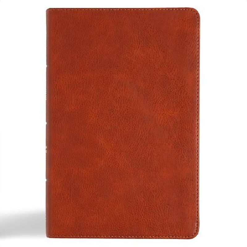 CSB Large Print Personal Size Reference Bible, Digital Study Edition, Burnt Sienna Leathertouch, Indexed