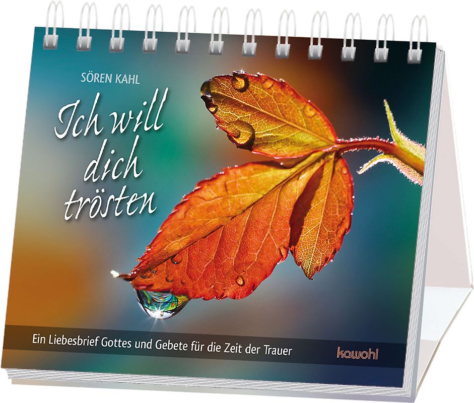 Ich will dich trösten