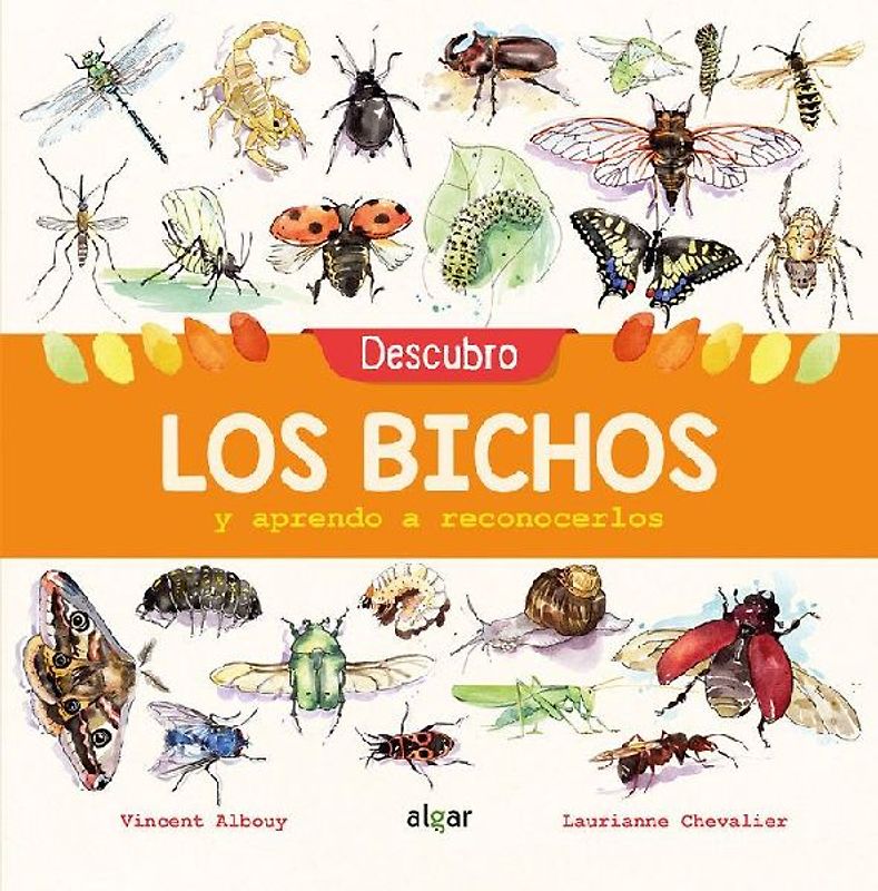 Descubro los bichos y aprendo a reconocerlos